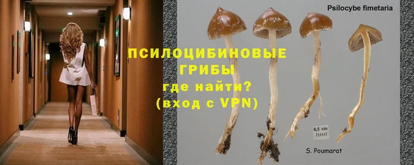 PSILOCYBIN Богородск