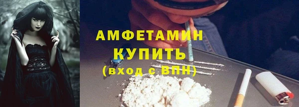 ECSTASY Богданович