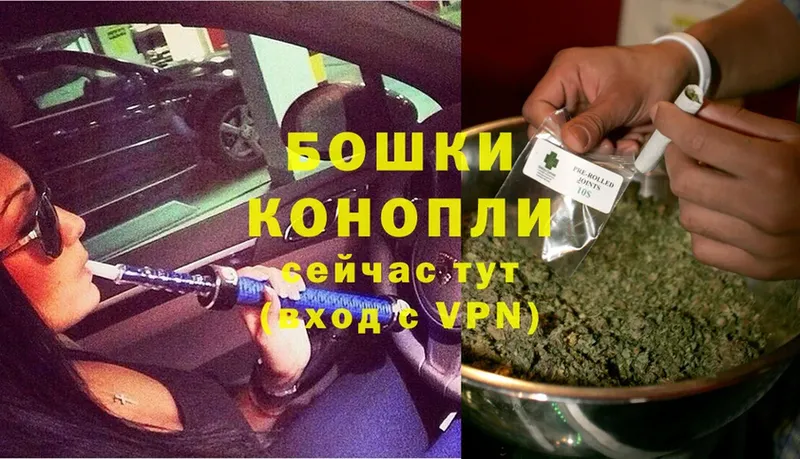 Каннабис SATIVA & INDICA  Димитровград 